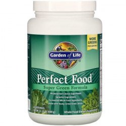 Garden of Life Perfect Food Super Green Formula proszek 600 g