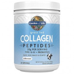 Garden of Life Grass Fed Collagen Peptides proszek 560 g